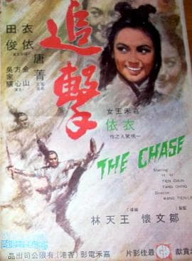 追击1971海报