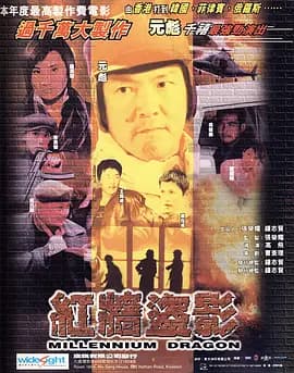红墙盗影海报